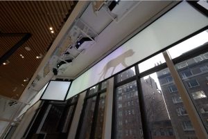 AKC Museum Visual Display