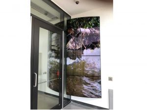 Humber curved display in door
