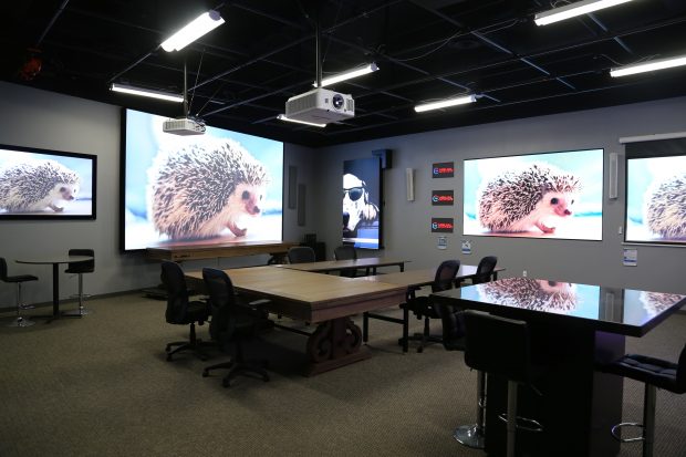 RPV Visualization Centre